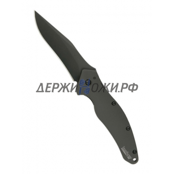 Нож Shallot Black Kershaw складной K1840CKT